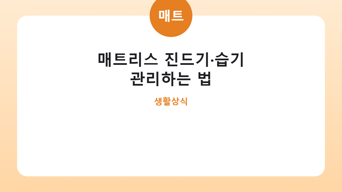 매트리스 진드기·습기 관리하는 법 카드뉴스