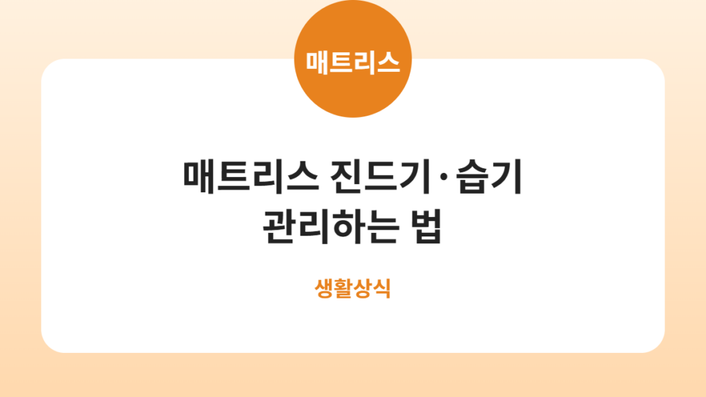 매트리스 진드기·습기 관리하는 법