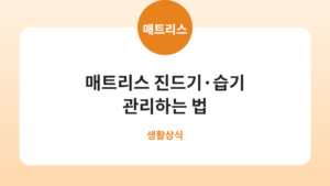 매트리스 진드기·습기 관리하는 법