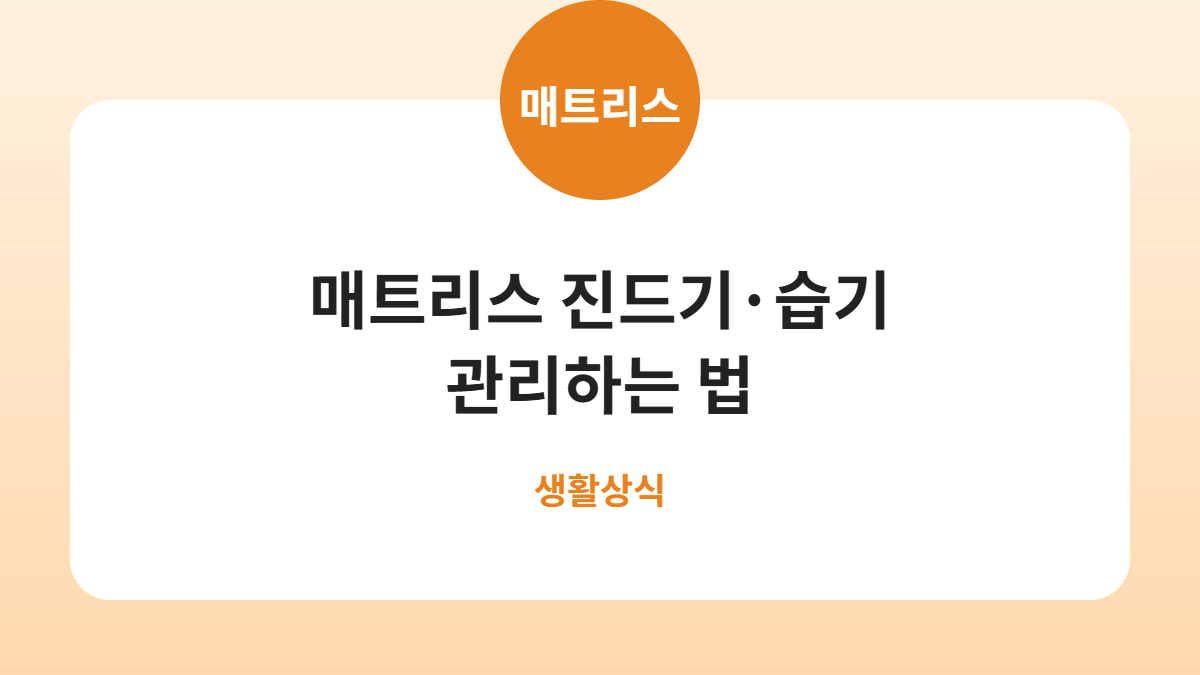 매트리스 진드기·습기 관리하는 법
