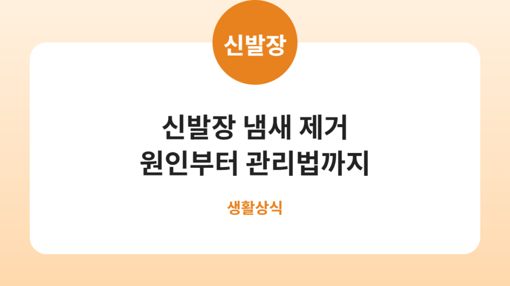 신발장 냄새 제거 원인부터 관리법까지