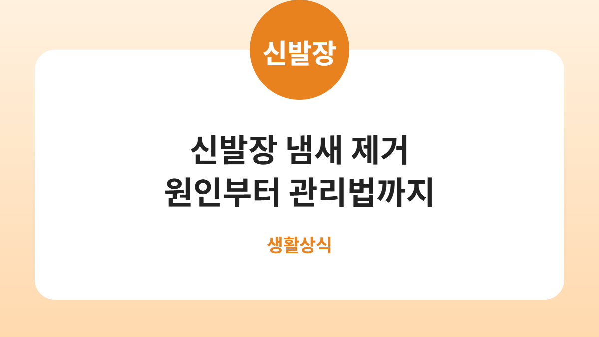 신발장 냄새 제거 원인부터 관리법까지